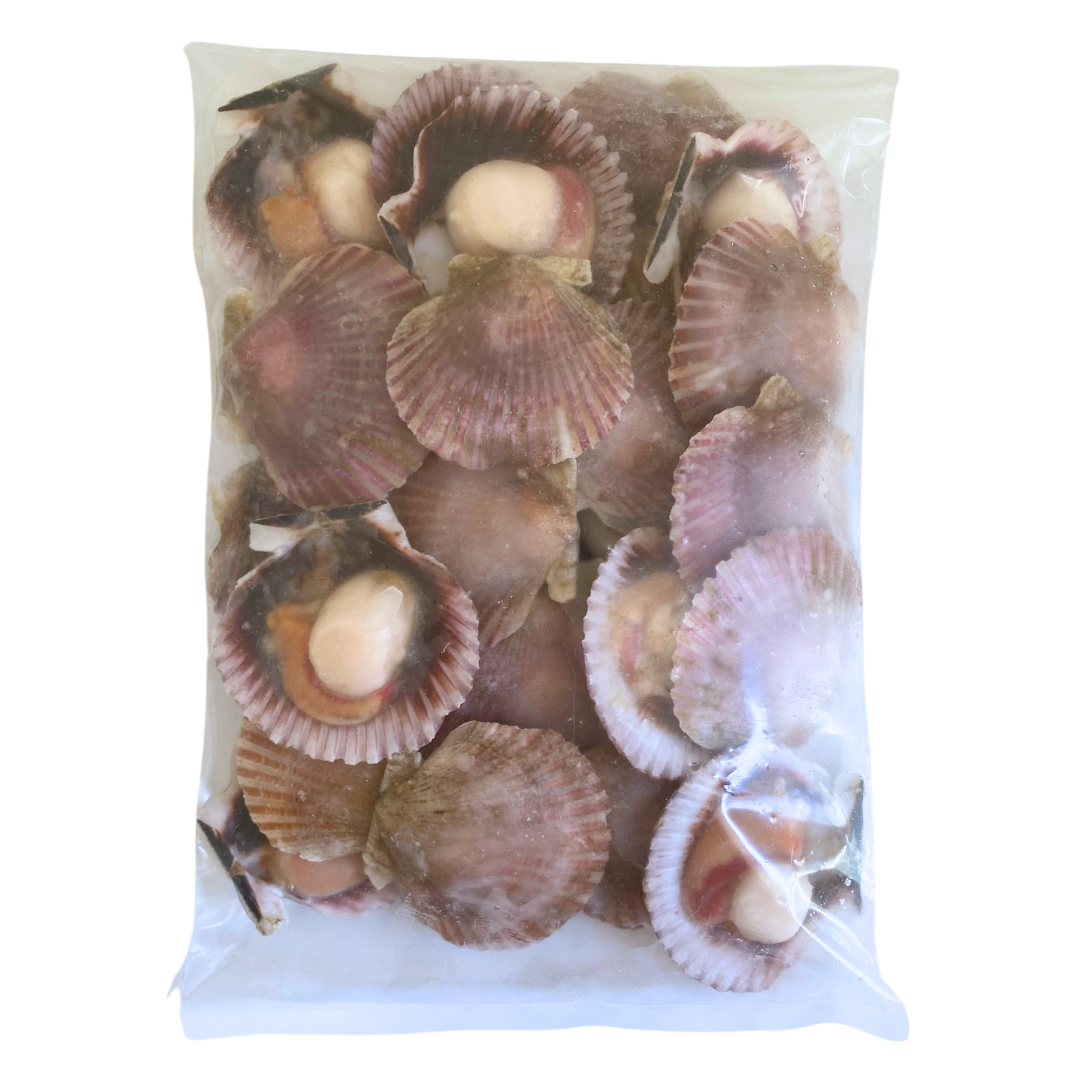 Ostiones Media Concha Nacional 1KG